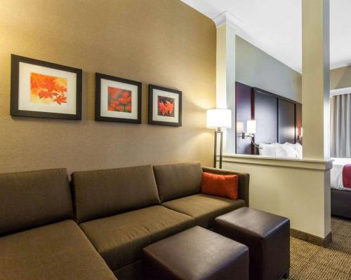 Comfort Suites-Youngstown North in Youngstown, USA