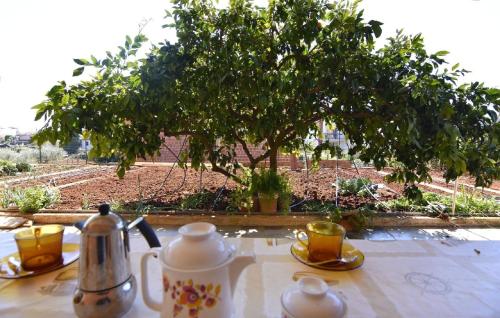 Wohnung in der Nähe des Strandes Basanija Wohnung in der Nähe des Strandes Basanija