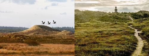 Hotel Thinggaard - image 4