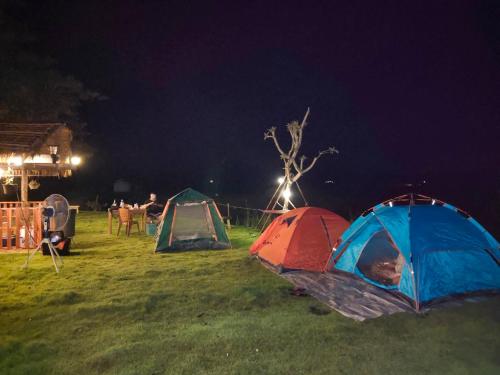 Campchamao Homestay