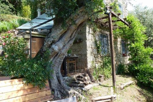 Ferienhaus für 4 Personen ca 65 m in Monteggiori, Toskana Provinz Lucca in Culla