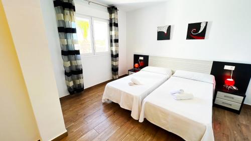 Ayora - BTB - image 5