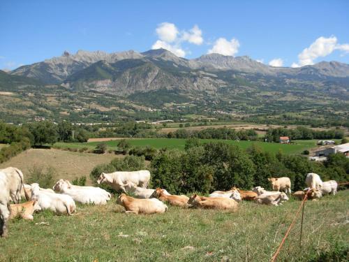 Kilátás, Gite Les Guerins in Avançon