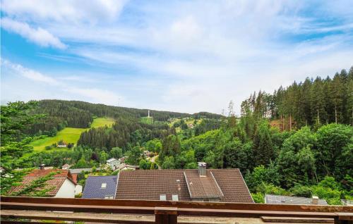 Nice apartment in Schonach im Schwarzwal with WiFi and 1 Bedrooms - image 3