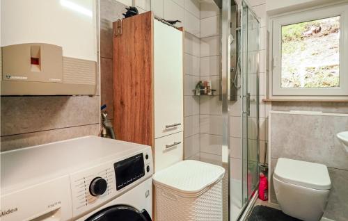 Nice apartment in Schonach im Schwarzwal with WiFi and 1 Bedrooms - image 14
