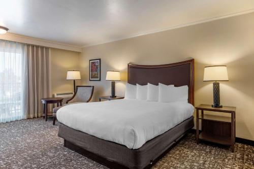 Best Western Plus Royal Oak Hotel - image 11