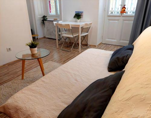 Stanka's studio close to Opera