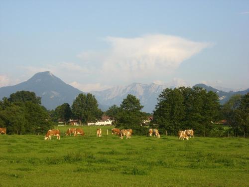 Gasthaus Kellerer