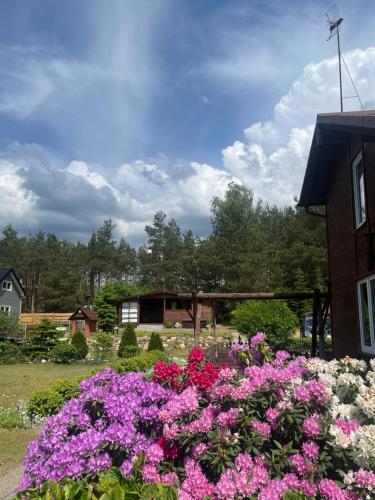 Domek Staś