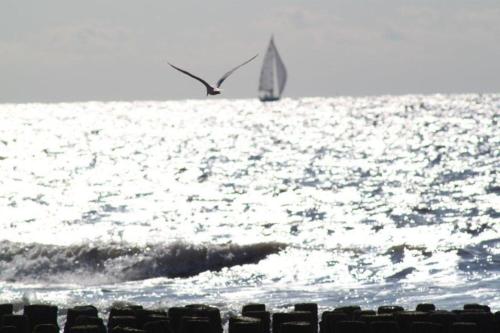 Altes Deichbauernhaus mit Scheune, Garten und zwei Etagen in นิวฟลิต