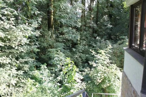 FeWo Harling - Waldsamkeit in Bad Iburg, Deutschland