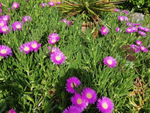 Eole – Lacanau-Ocean, FL