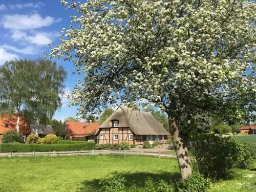 Haus Ruhe unter Reet in Schmiedendorf, Deutschland
