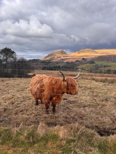 The West Highland Way Campsite & Campervan Accommodation 3