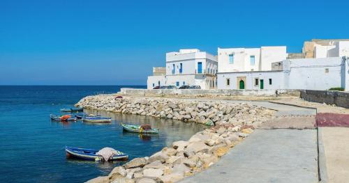 zone mahdia in Hiboun