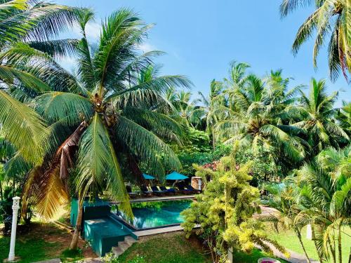 Shangri-lanka Villa - Bentota