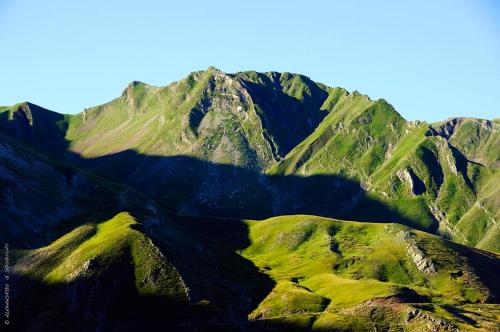 Agathi - image 6