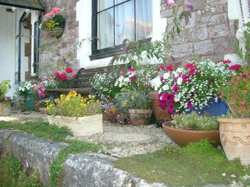 Ashleigh House - image 3