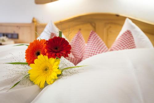 Hotel Garni Hanslerhof " Urlaub am Bauernhof " – Gerlos, IL