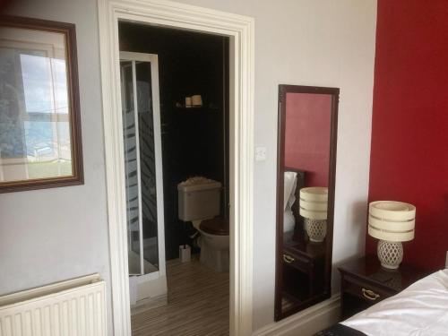 The Cambrian – New Quay