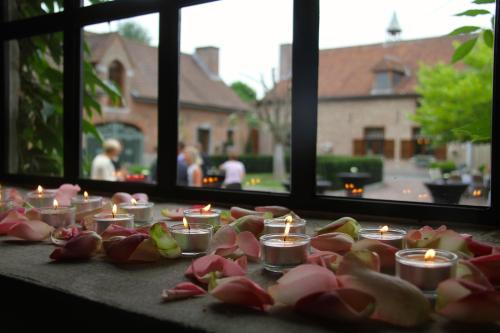 B&B Hof te Spieringen - image 10