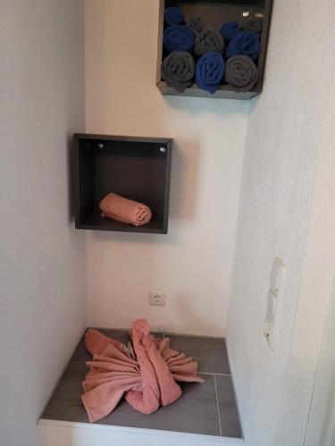 Ferienwohnung Bergwiese in Nesselwängle Ferienwohnung Bergwiese in Nesselwängle