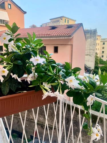  Casa Citro in Salerno