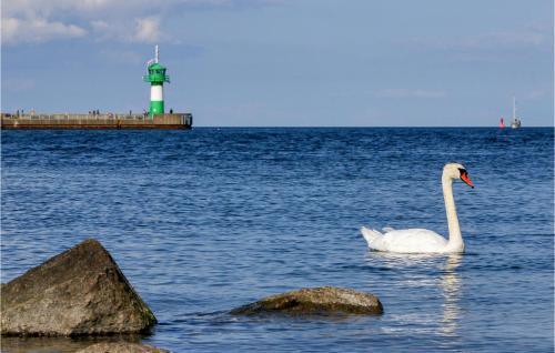 Meeresrauschen 5 - Dorf 6 Y - image 14