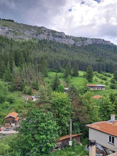 Tuvākā izklaides vieta, Katerci in Trigrad
