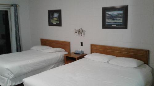 Accommodation in Bruce County