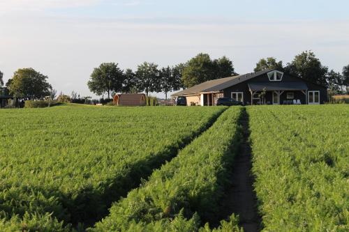 Munnickenheide Buitengewoon Overnachten