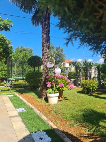 Apartment Marangunija - image 10