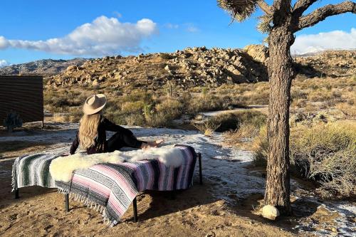 Mulberry & Pine Near Joshua Tree in Joshua Tree, USA