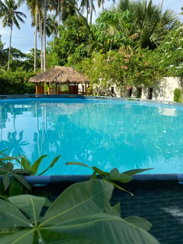 4 Bedrooms Guesthouse with Pool and Mangrove Park in Alburquerque