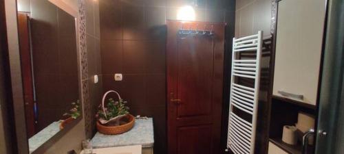 베오그라드 Apartman Irena 2성급 싱글룸 전망