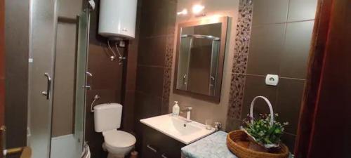 베오그라드 Apartman Irena 2성급 싱글룸 수영장