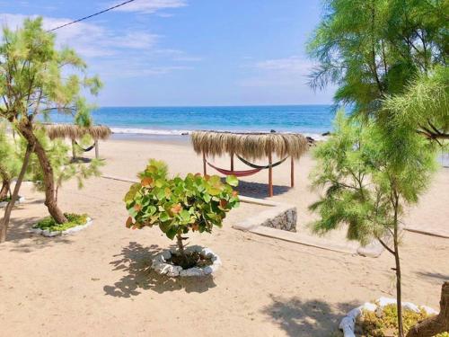A környék, Casuarinas del Mar Bungalow Ballena in Canoas De Punta Sal