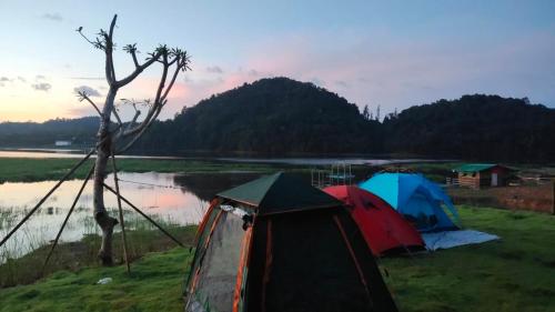 Campchamao Homestay