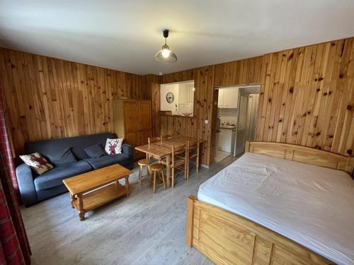 . Studio rénové au Lioran avec animaux acceptés - FR-1-787-22