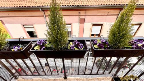 Centro y Confort by Wehomes