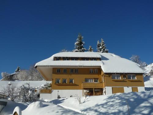Berghof Almzeit - Fewo "Heuboden", Sauna , Todtnauberg, Feldberg