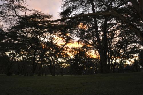 Lake Naivasha Sopa Lodge