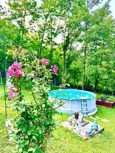 Vila Miandra - Accommodation - Breaza
