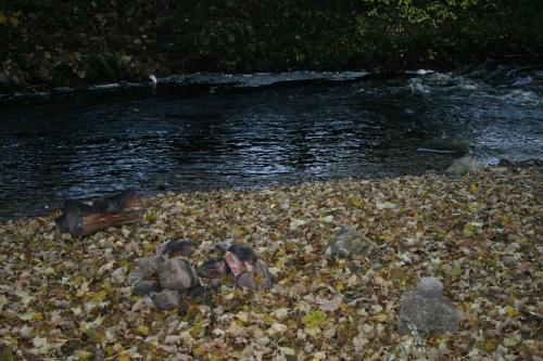 BCC Lochness Glamping