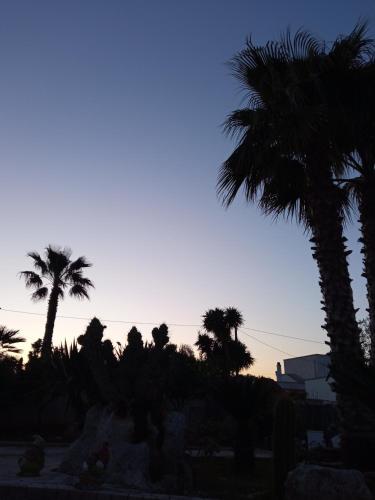 Vale & Frans – Monopoli, LA