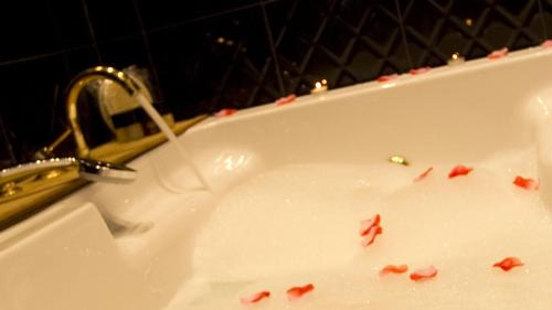 Sea View Premium Suite with Spa Bath image 6