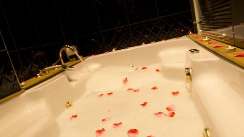 Sea View Premium Suite with Spa Bath image 7
