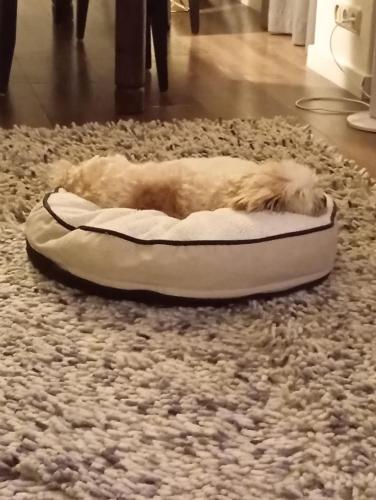 TopSleep Apartments 26-1 in Arnhem