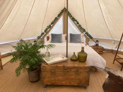 Chambres d'Hôtes Secret Pyrenées - image 4