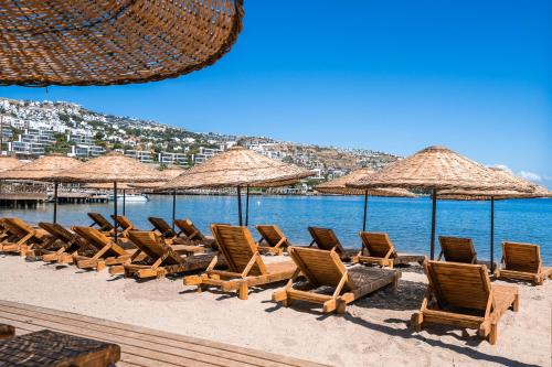 Mare Alba in กุนโดกัน